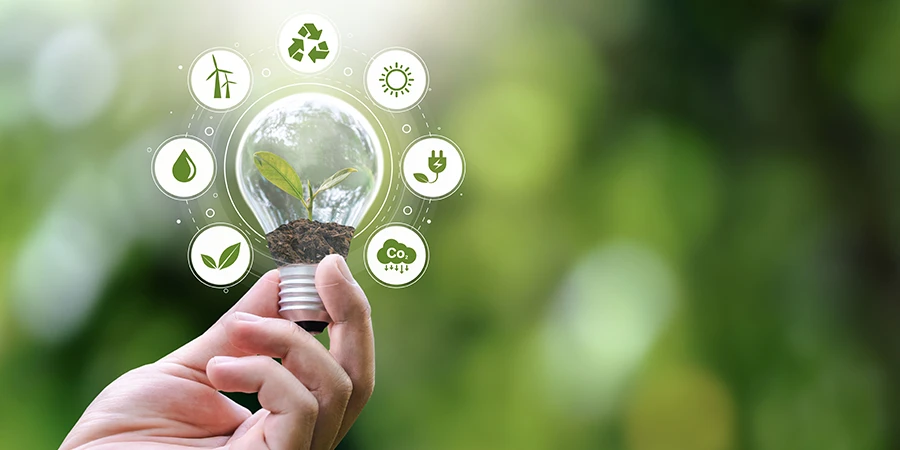 Une main tient une ampoule sur un fond vert. Des icones eco responsable sont tout autour de l'ampoule