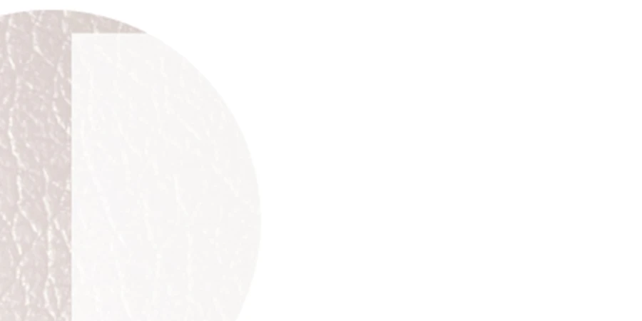 zoom sur le rigiform standard