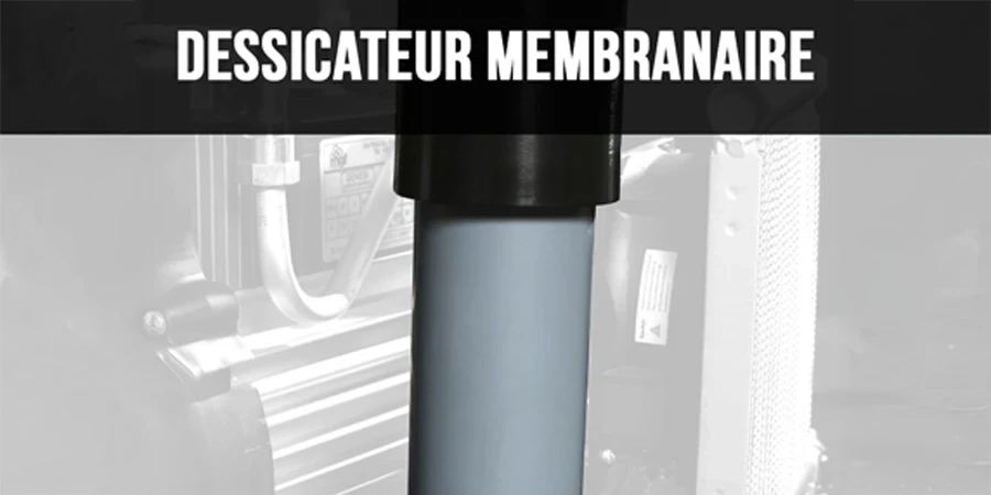 zoom sur le dessinateur membranaire