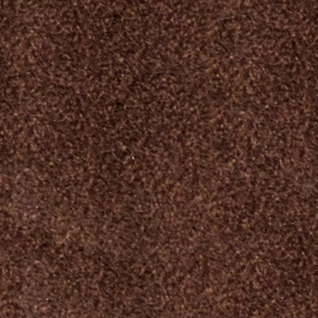 SALPA