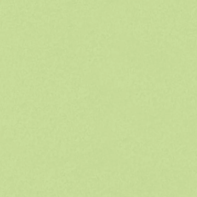 NOVALAST BIO 52 VERT - EVA ECO RESPONSABLE