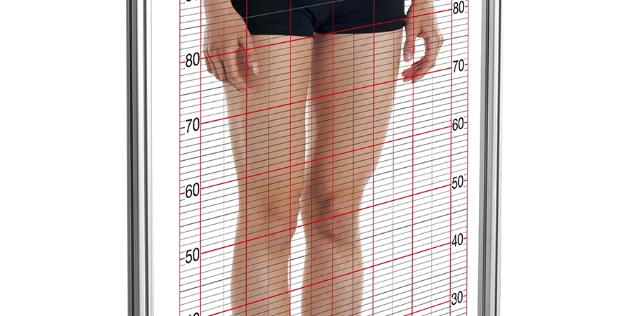 gros plan sur le Stereocam