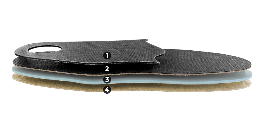 composition du module Rhumatologie