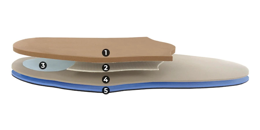 composition du module Talalgie