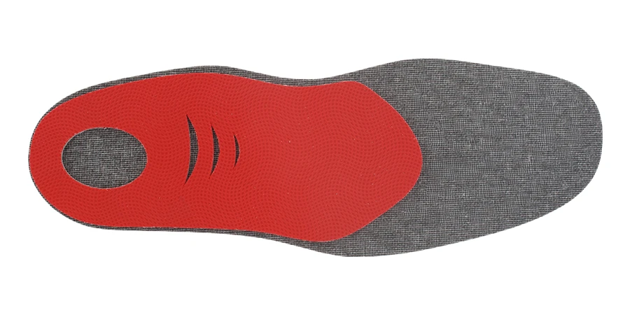 module Mountain Bike vu du dessous