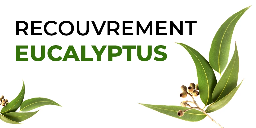 recouvrement eucalyptus