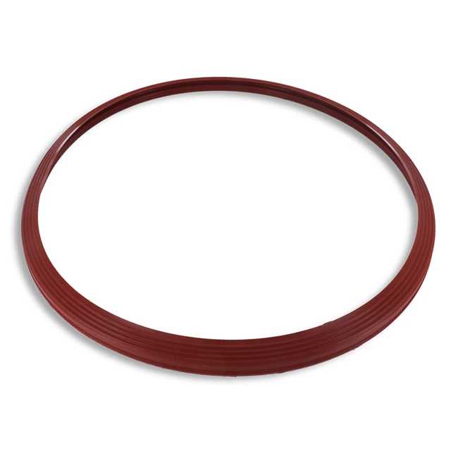 JOINT DE PORTE AUTOCLAVE NISEA