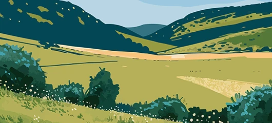 Commercial Export Capron Podologie